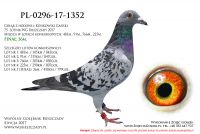 PL-0296-17-1352