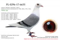 PL-0296-17-6655