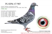 PL-0296-17-907