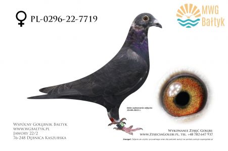 PL-0296-22-7719: Formela Krzysztof, m.in. 17m. z FINAŁU