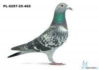 PL-0297-25-460  18. OKRĘG POMORZE ŚRODKOWE