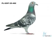 PL-0297-25-460  18. OKRĘG POMORZE ŚRODKOWE