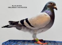 PL-03-18-9210