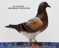 PL-03-18-9219