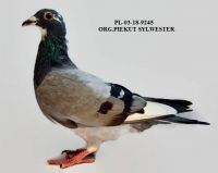 PL-03-18-9245