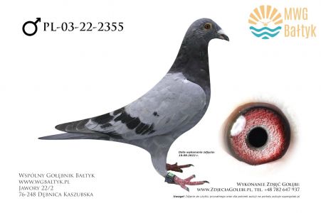 PL-03-22-2355: Baranowski Team, m.in. 39m., 66m. z FINAŁU