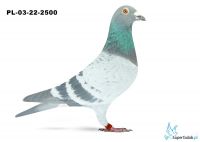 PL-03-22-2500