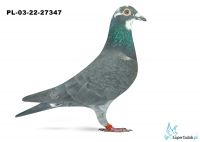 PL-03-22-27347