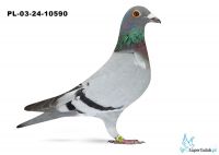 PL-03-24-10590 - Baranowski TEAM