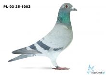 PL-03-25-1002  6. OKRĘG WARSZAWA