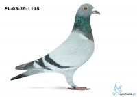 PL-03-25-1115