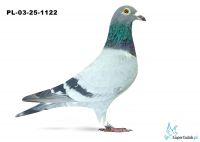 PL-03-25-1122