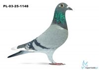PL-03-25-1148
