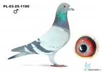 PL-03-25-1190,