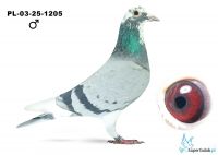 PL-03-25-1205