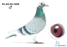 PL-03-25-1205