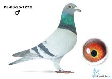 PL-03-25-1212