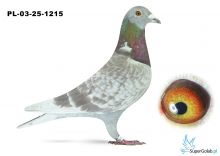 PL-03-25-1215