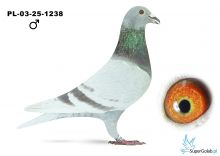 PL-03-25-1238