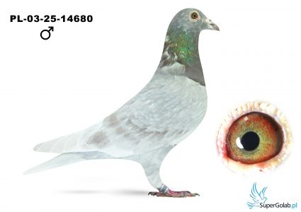 PL-03-25-14680