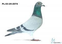 PL-03-25-2074