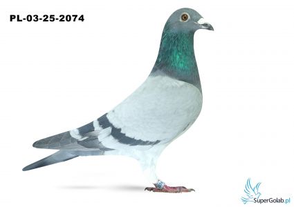 PL-03-25-2074