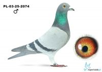 PL-03-25-2074,