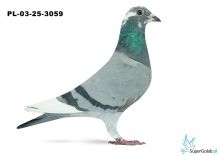 PL-03-25-3059