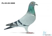 PL-03-25-3069