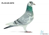 PL-03-25-3070