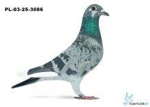 PL-03-25-3086
