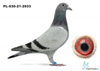 PL-030-21-2933