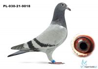 PL-030-21-9018