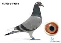 PL-030-21-9069