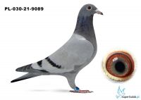 PL-030-21-9089