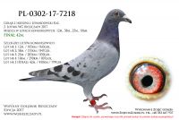 PL-0302-17-7218