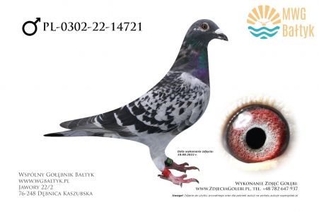 PL-0302-22-14721: Lewandowski Kazimier, 6. Lotnik, m.in. 99m., 32m., 58m., 35m. z FINAŁU