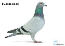 PL-0303-25-50 18. OKRĘG POMORZE ŚRODKOWE 