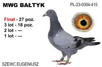 PL-0304-23-415: Szewc Eugeniusz, 62. Lotnik, m in 18m, 27m z FINAŁU Gołąb z hodowli: Szewc Eugeniusz.