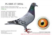 PL-0305-17-10516