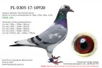 PL-0305-17-1092