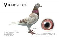 PL-0305-25-13365: Roman Pierog, m in 21m