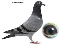 PL-0306-20 1633 GRZEGORZ DRYGAŁA 0306 Międzyzdroje