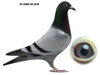 PL-0306-20 1670 - GRZEGORZ DRYGAŁA 0306 Międzyzdroje
