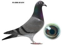 PL-0306-20 1674 - GRZEGORZ DRYGAŁA 0306 Międzyzdroje