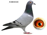 PL-0306-20 1684 - GRZEGORZ DRYGAŁA 0306 Międzyzdroje