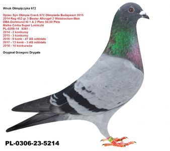 PL-0306-23-5214 oryg Grzegorz Drygała