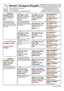 PL-0306-24-5278 GEBR JANSSEN - AUKCJA NOWOROCZNA - SAMIEC