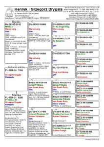 PL-0306-24-7284 SYN MARCO super rozpłodowca X PITBULL 777 - AUKCJA NOWOROCZNA - SAMIEC