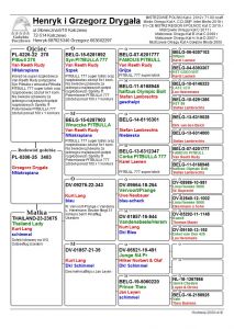 PL-0306-25-3403 LINIA PITBULLA 777 - AUKCJA NOWOROCZNA